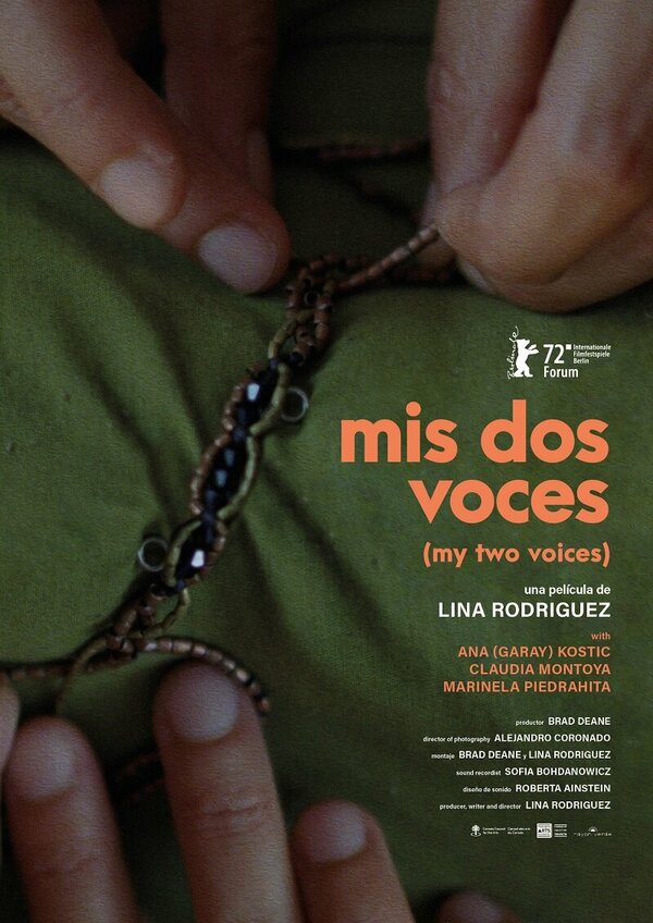 Постер Два моих голоса