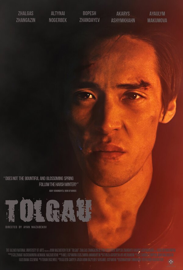 Постер Tolgau