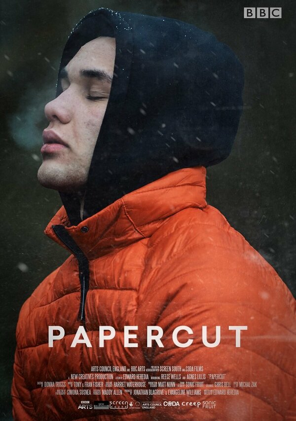 Постер Papercut
