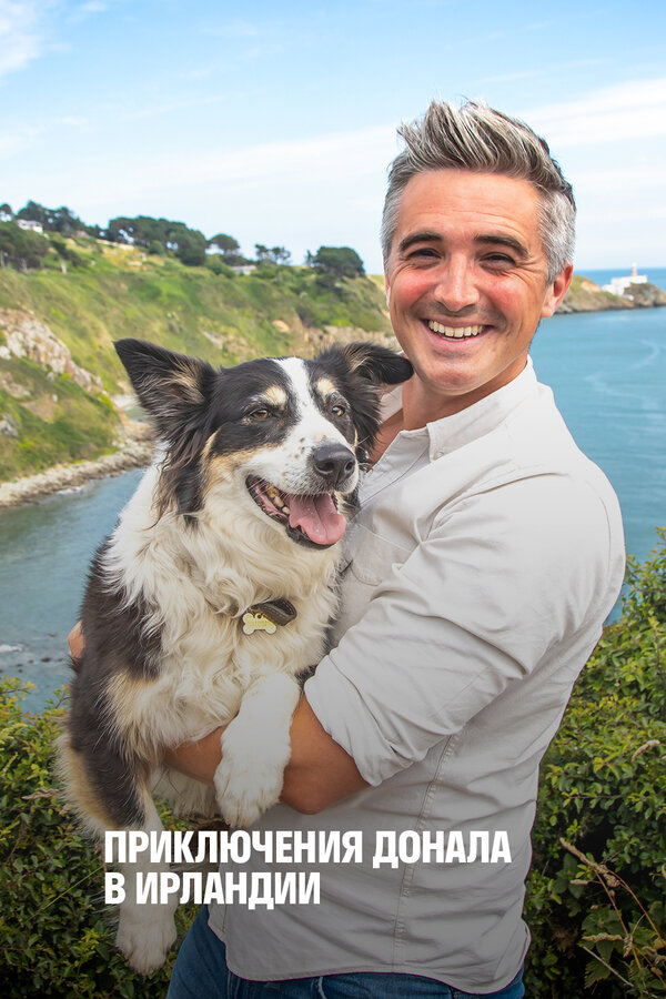 Постер Приключение Донала в Ирландии