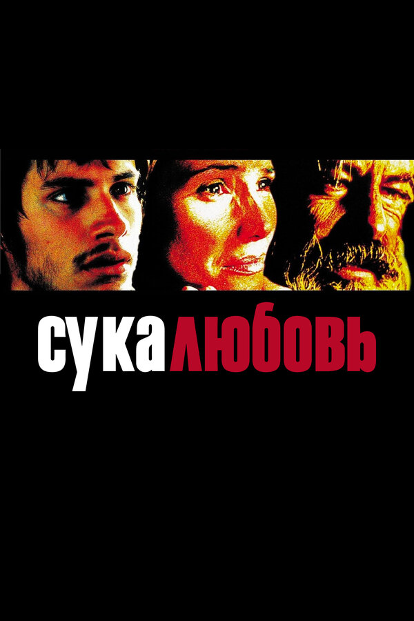 Постер Сука-любовь