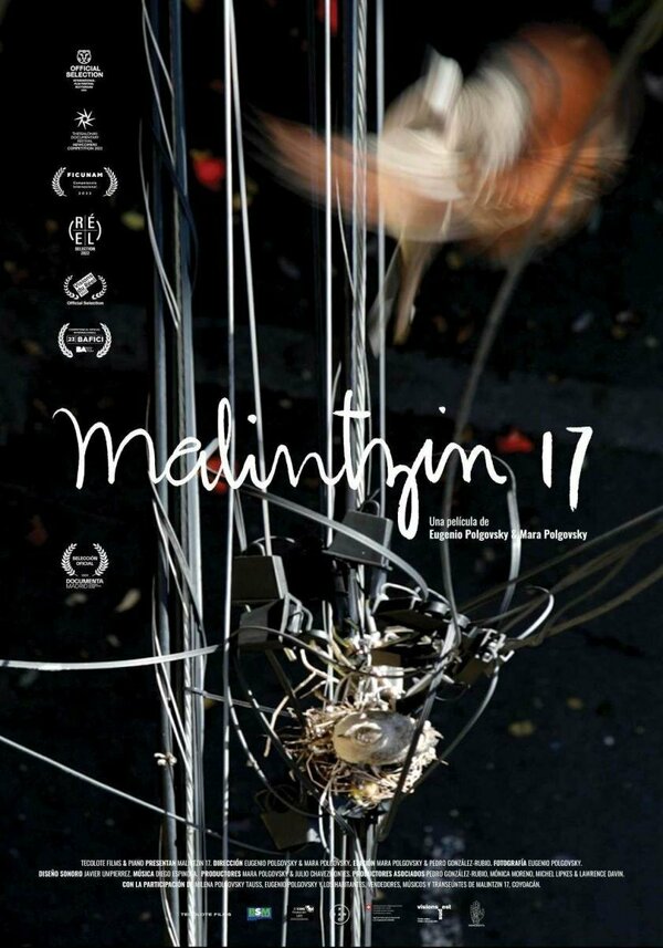 Постер Малинсин 17