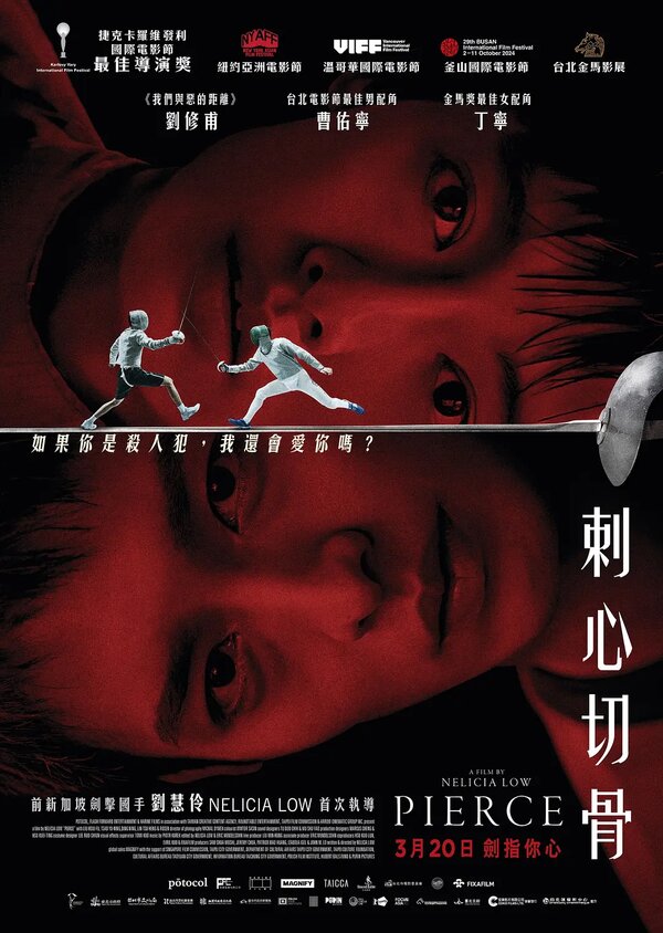 Постер Ci xin qie gu