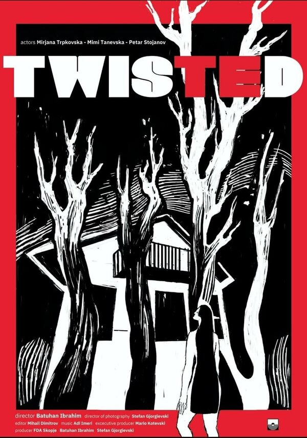 Постер Twisted