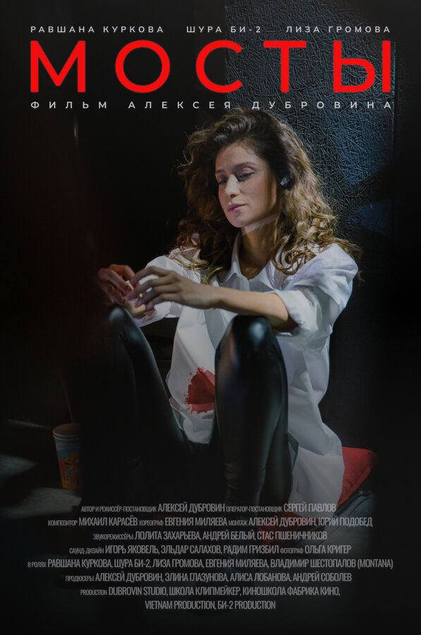 Постер Мосты