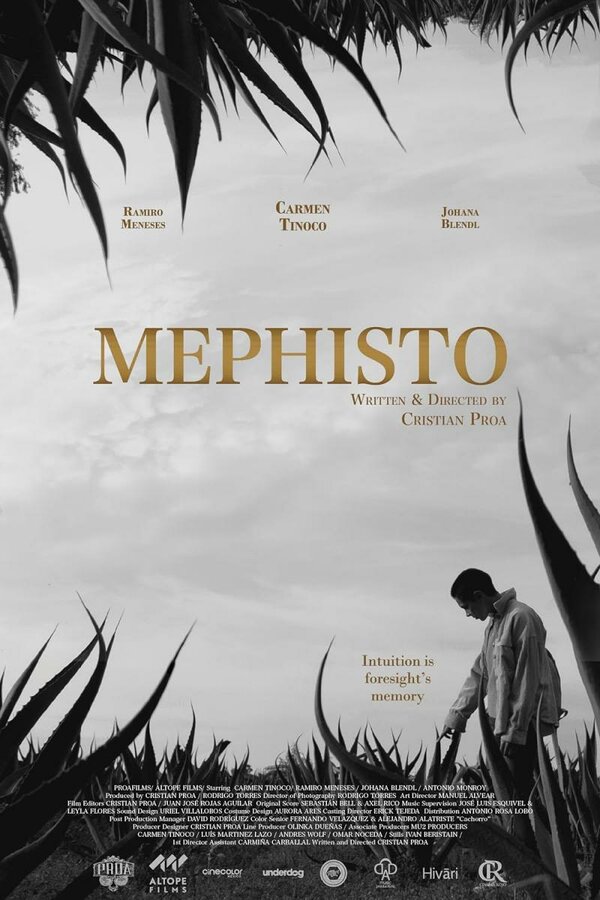 Постер Mephisto