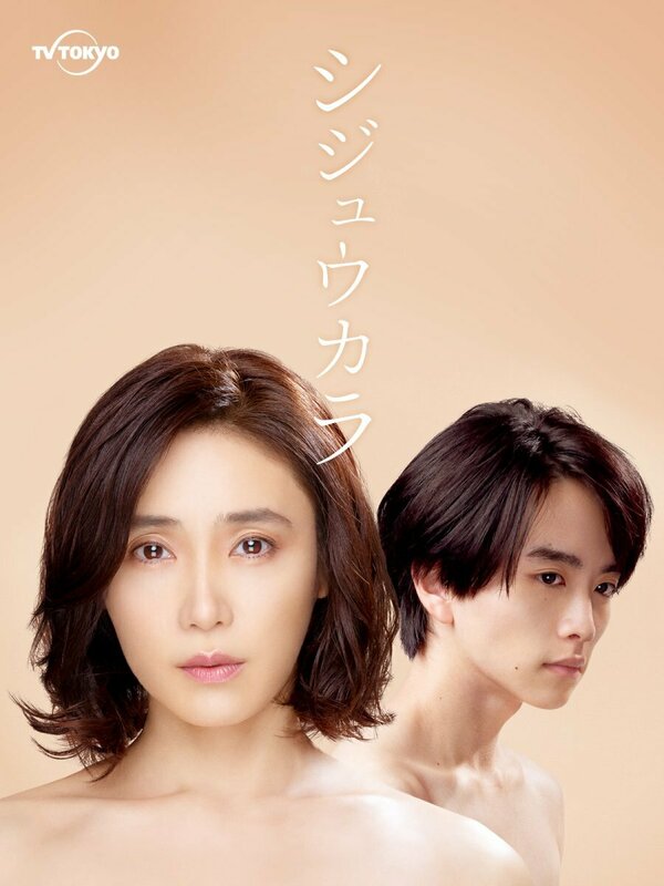 Постер Синица