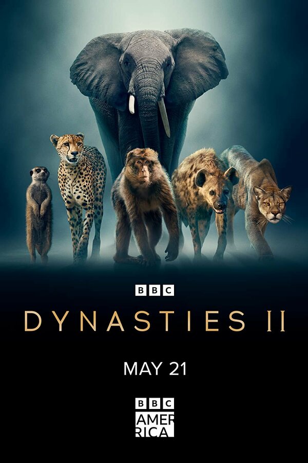 Постер Dynasties II