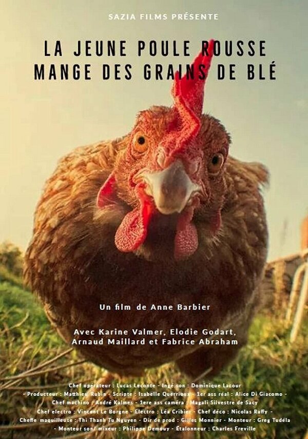 Постер La Jeune Poule Rousse Mange des Grains de Blé