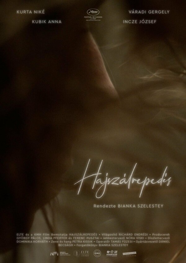 Постер Hajszálrepedés