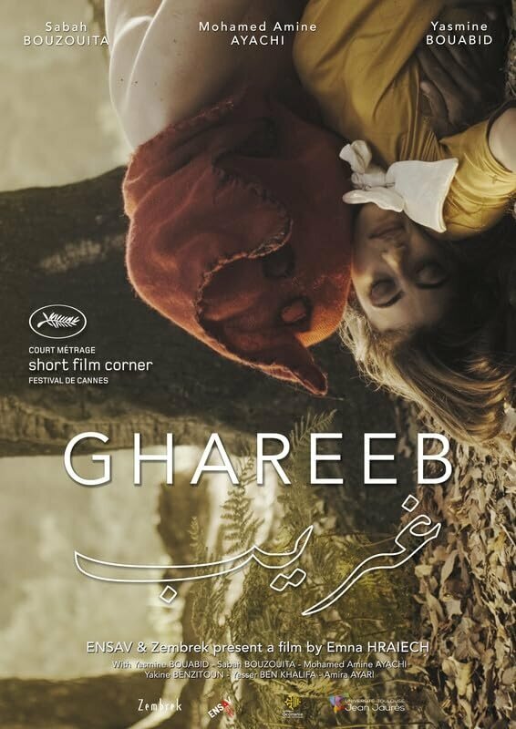 Постер Ghareeb