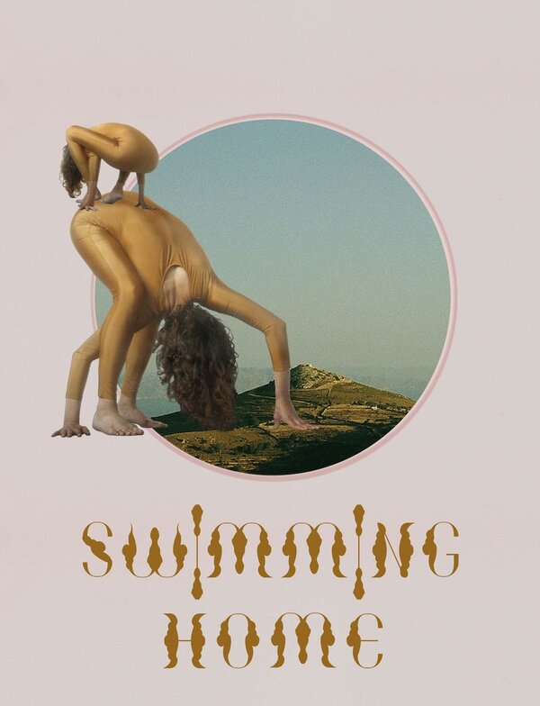 Постер Заплыв домой