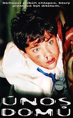 Постер Похищение домой