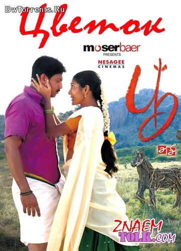 Постер Цветок