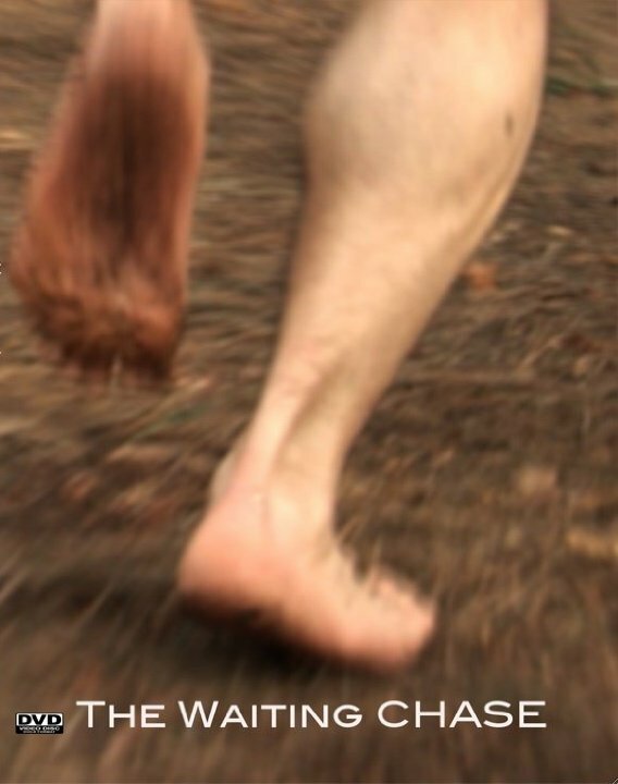 Постер В ожидании погони