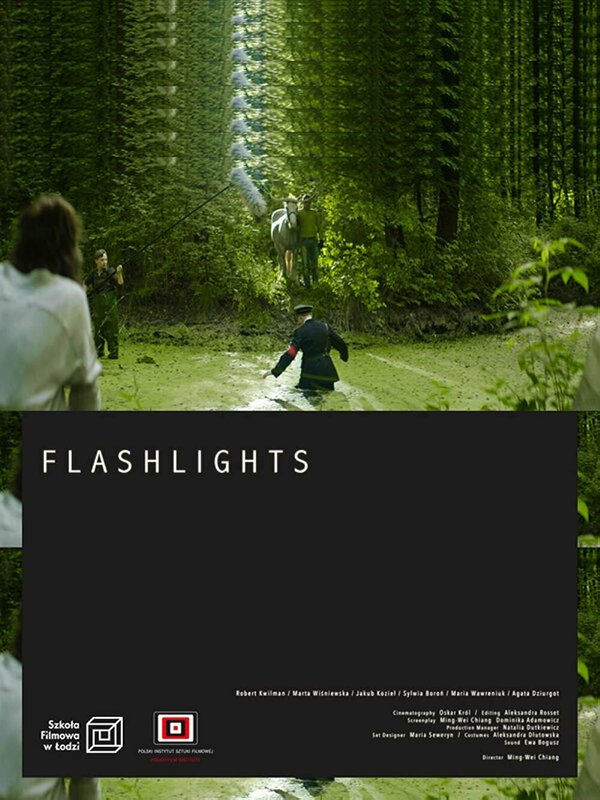 Постер Flashlights