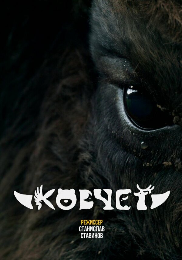 Постер Ковчег