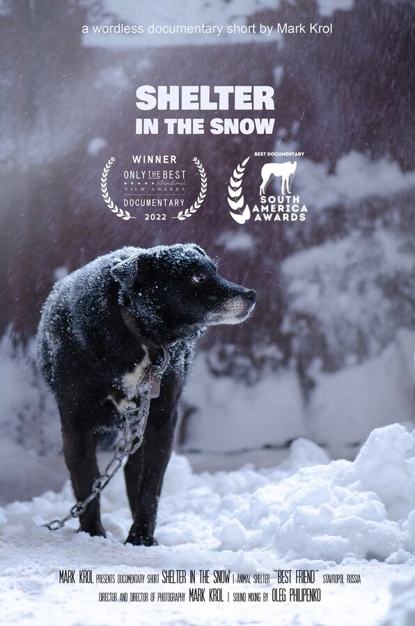 Постер Приют в снегу