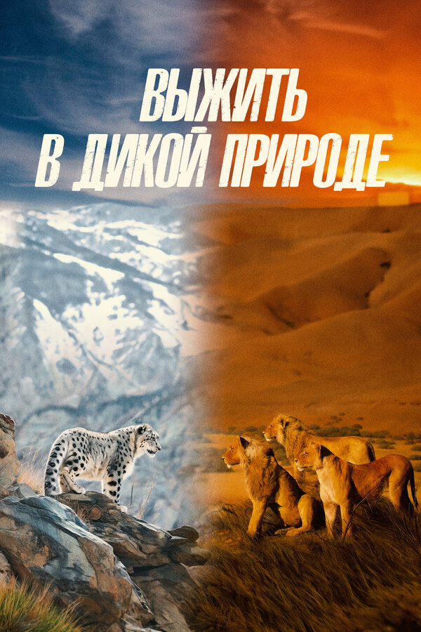 Постер Выжить в дикой природе