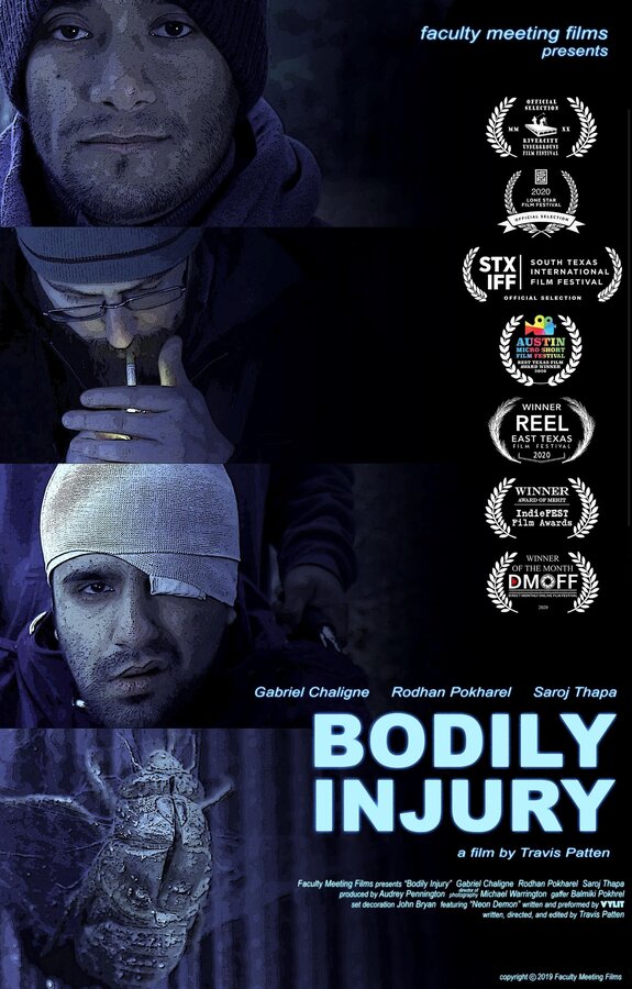 Постер Bodily Injury