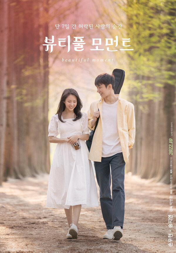 Постер Прекрасный момент