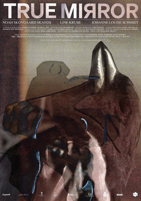 Постер True Mirror