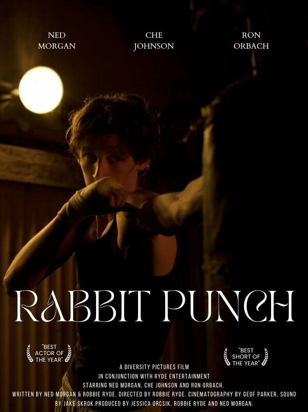 Постер Rabbit Punch