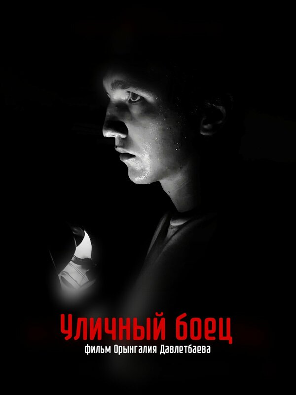 Постер Уличный боец