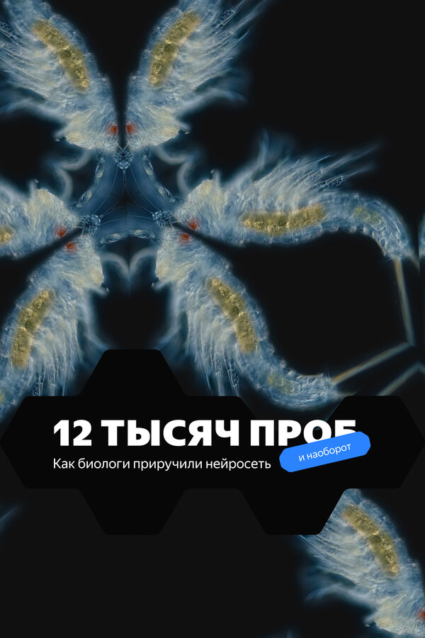 Постер 12 тысяч проб