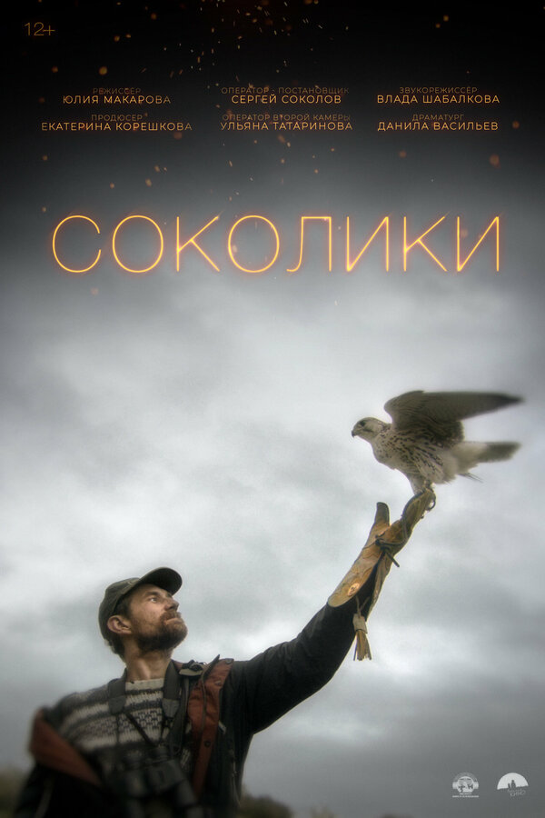 Постер Соколики