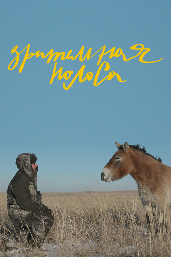 Постер Зрительная полоса