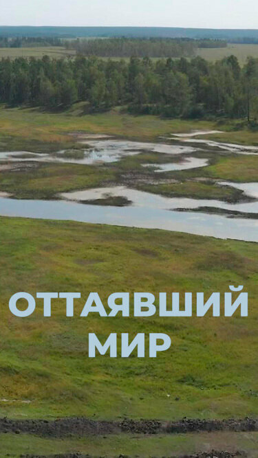 Постер Оттаявший мир
