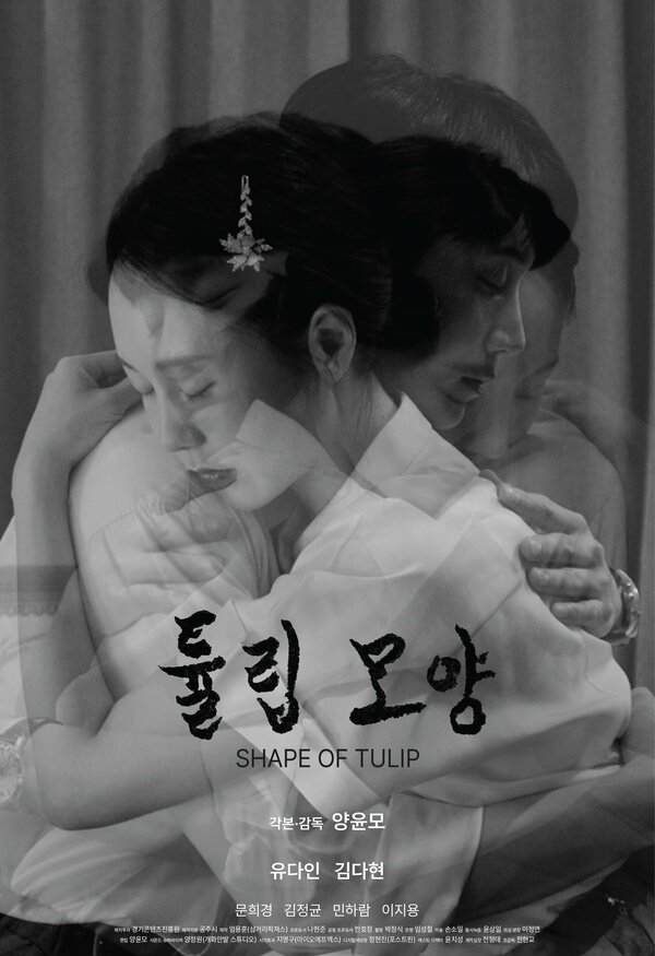 Постер Форма тюльпана