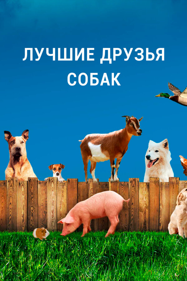 Постер Лучшие друзья собак