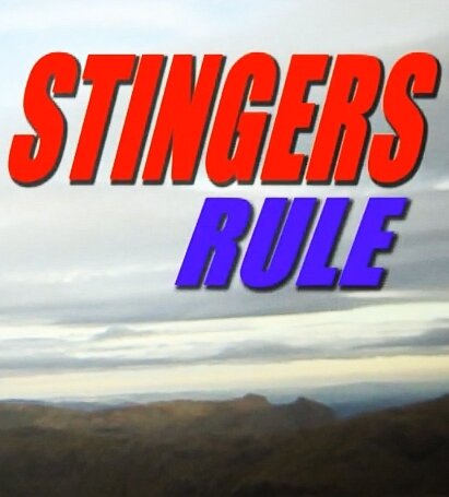 Постер Stingers Rule!
