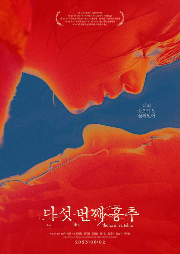 Постер Пятый грудной позвонок