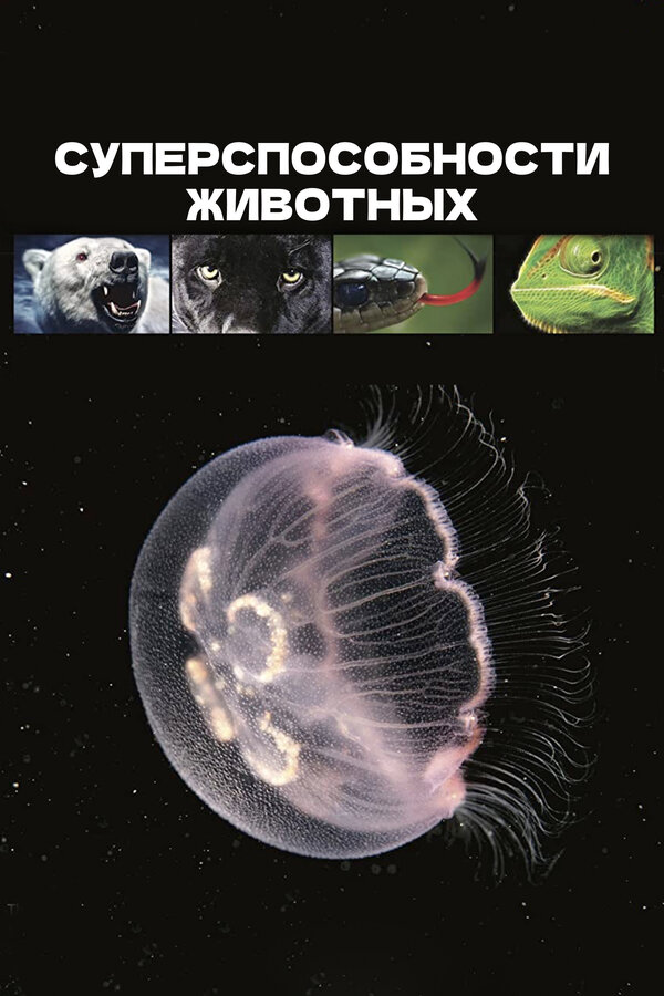 Постер Суперспособности животных