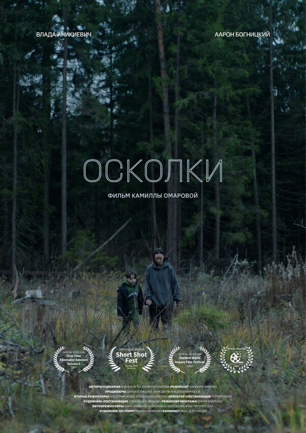 Постер Осколки