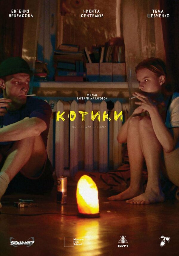 Постер Котики