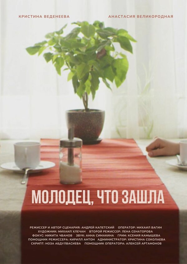 Постер Молодец, что зашла