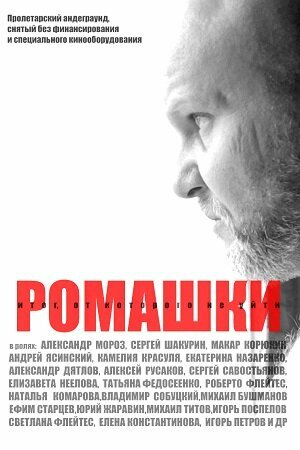 Постер Ромашки