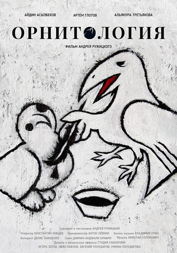 Постер Орнитология