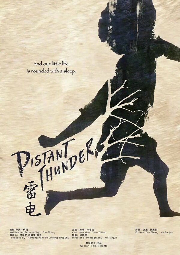 Постер Далёкий гром