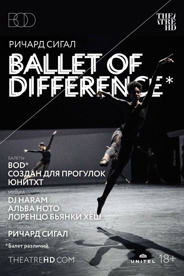 Постер Ричард Сигал: Балет различий