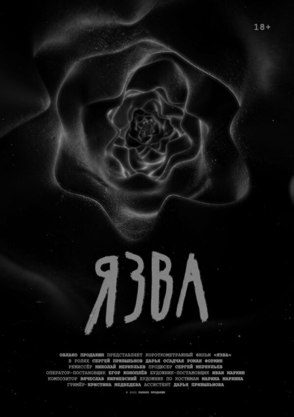 Постер Язва