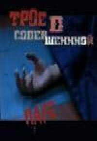 Постер Трое в совершенной паре