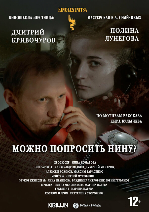 Постер Можно попросить Нину?