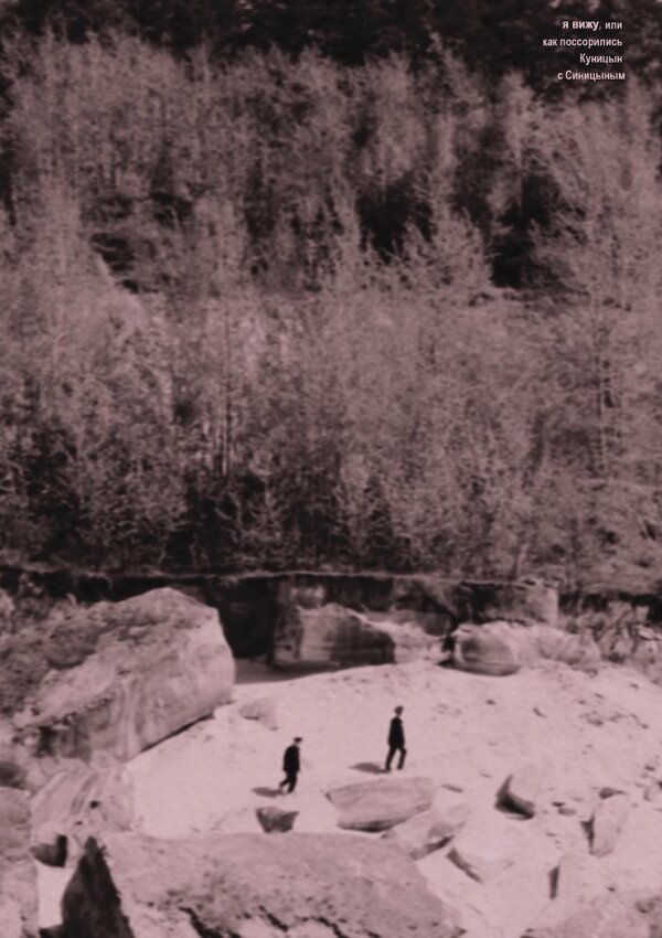 Постер Я вижу, или Как поссорились Куницын с Синицыным