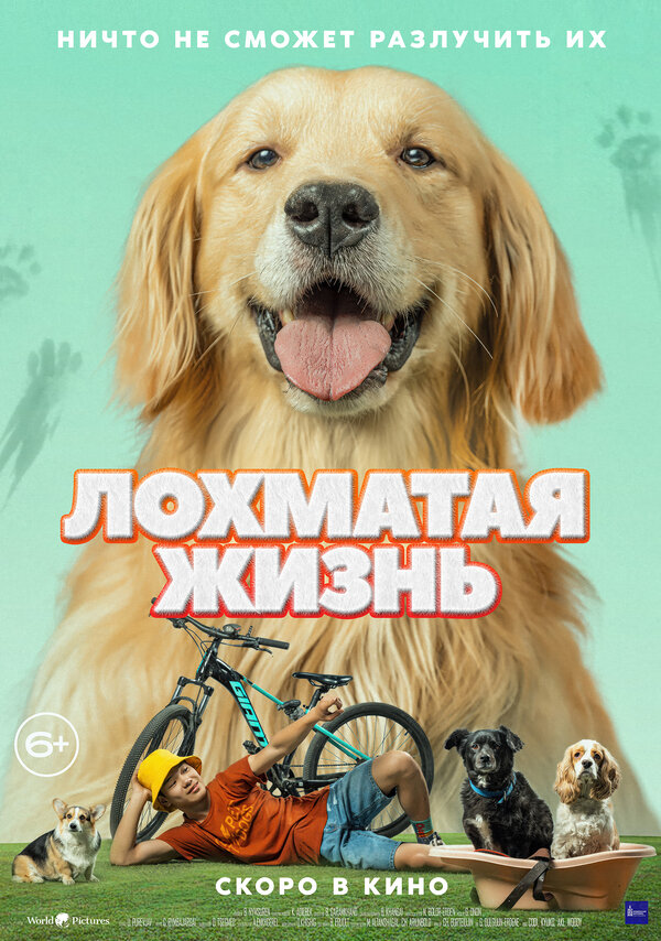 Постер Лохматая жизнь