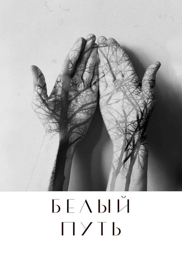 Постер Белый путь